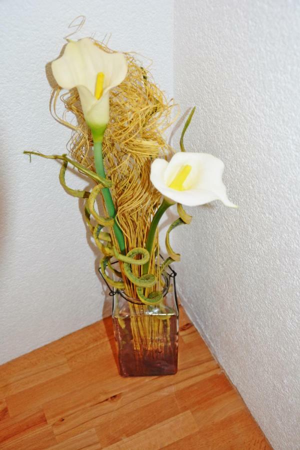 Apartment Tena เซนญ์ ภายนอก รูปภาพ